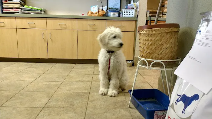 Belleview West Animal Hospital Picture 3