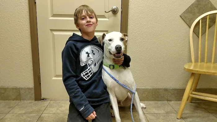 Belleview West Animal Hospital Picture 2