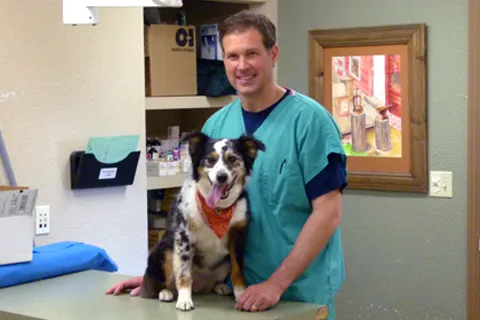 Belleview West Animal Hospital Picture 7