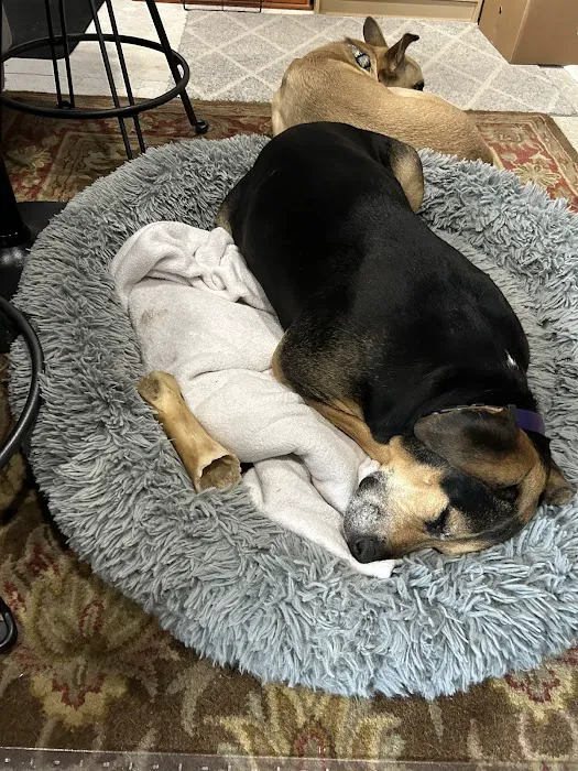 Bouton Veterinary Hospital Picture 9