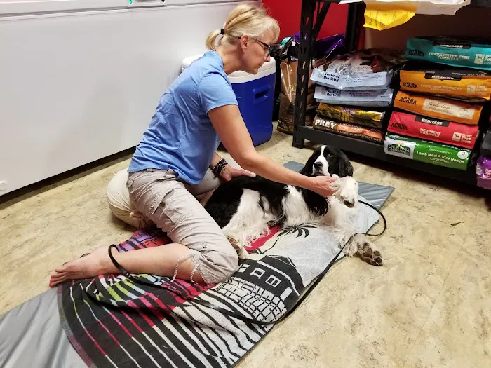 Four Paws Holistic Therapy Picture 7