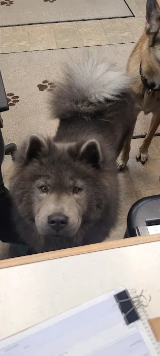 Neighborhood Pet Clinic Picture 1