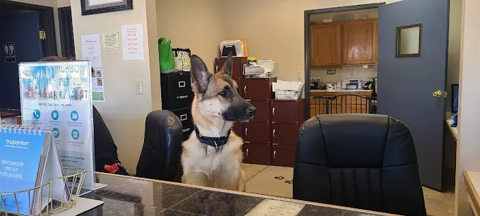Neighborhood Pet Clinic Picture 6