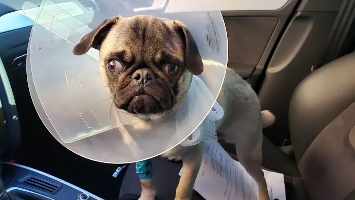 Broadway Estates Veterinary Clinic Picture 8