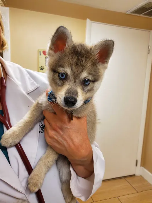 Littleton Veterinary Clinic Picture 1