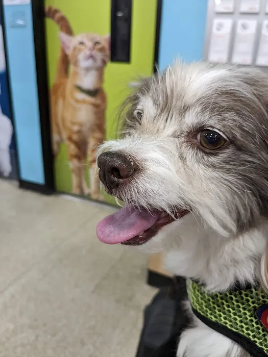 Banfield Pet Hospital Picture 9