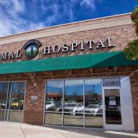 Littleton West Animal Hospital ico