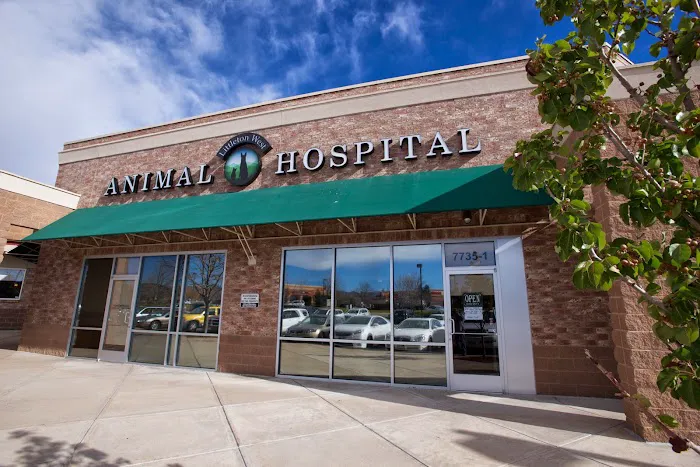 Littleton West Animal Hospital Picture 6