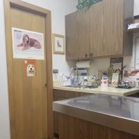Alpine Animal Hospital SW ico