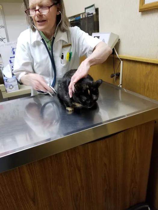 Alpine Animal Hospital SW Picture 4
