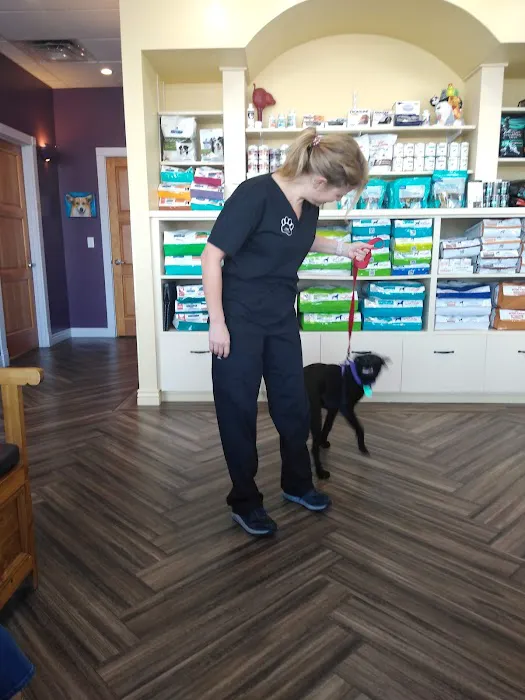 Levy, Jill - DVM Picture 1