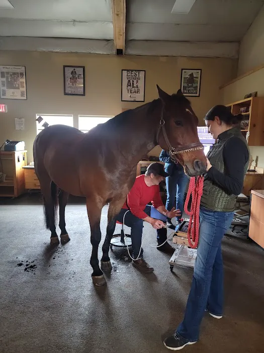 Northwest Equine Performance Picture 3