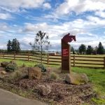 Northwest Equine Performance