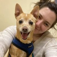 Sequoia Veterinary Clinic ico