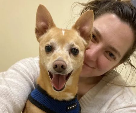 Sequoia Veterinary Clinic