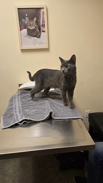 Sequoia Veterinary Clinic Picture 4