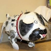 Broadlands Veterinary Clinic ico