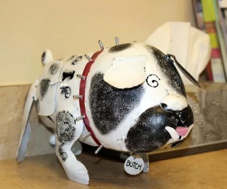 Broadlands Veterinary Clinic