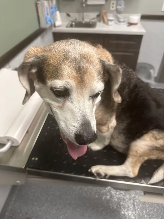 Animal Urgent Care North East Picture 1