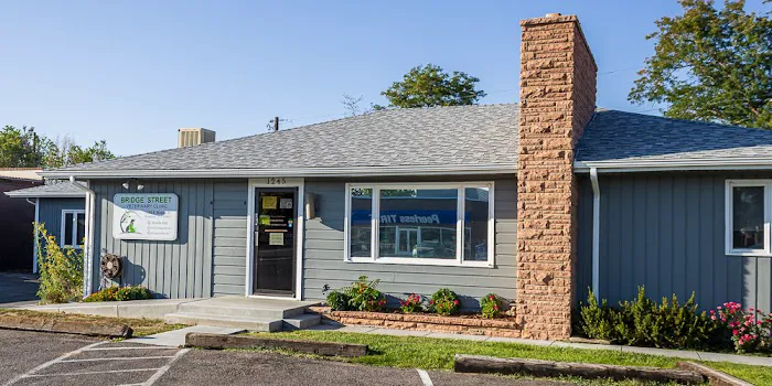 Bridge Street Veterinary Clinic Picture 4