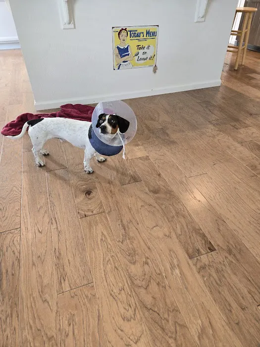 Bridge Street Veterinary Clinic Picture 6