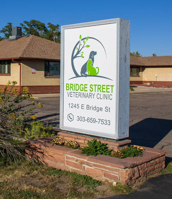 Bridge Street Veterinary Clinic Picture 8