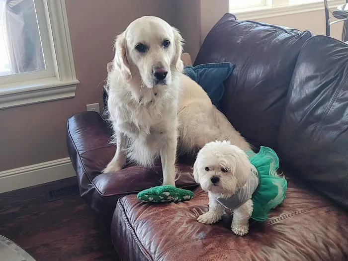 Banfield Pet Hospital Picture 10