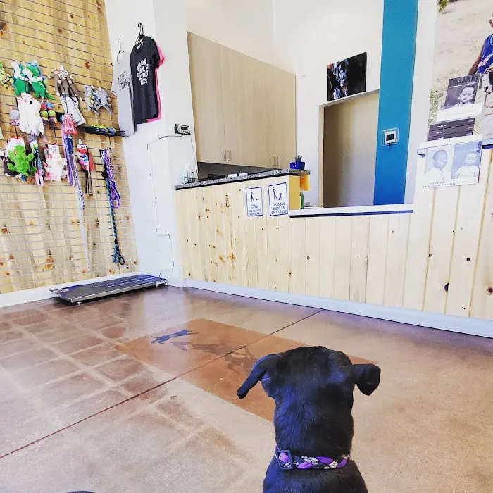 Rock Creek Veterinary Hospital Picture 7
