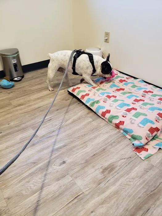 Harmony Veterinary Center Picture 2