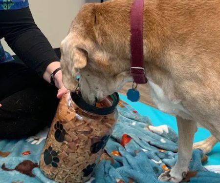 Harmony Veterinary Center