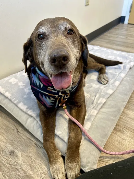 Harmony Veterinary Center Picture 3