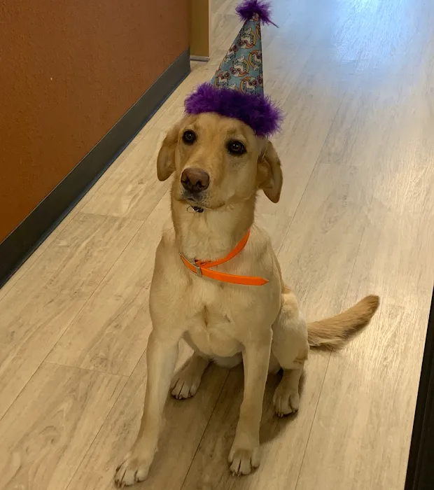 Golden Paws Animal Hospital Picture 10