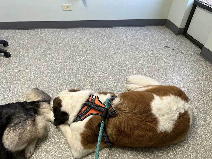 Horizon Veterinary Clinic Picture 8