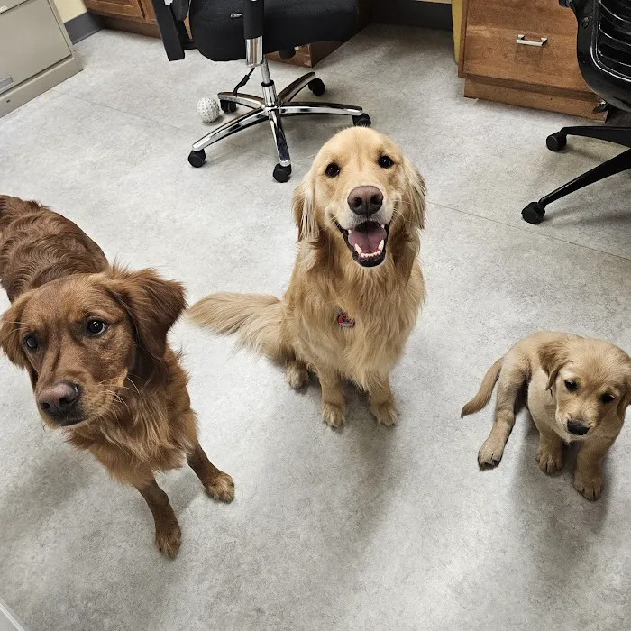 Horizon Veterinary Clinic Picture 2