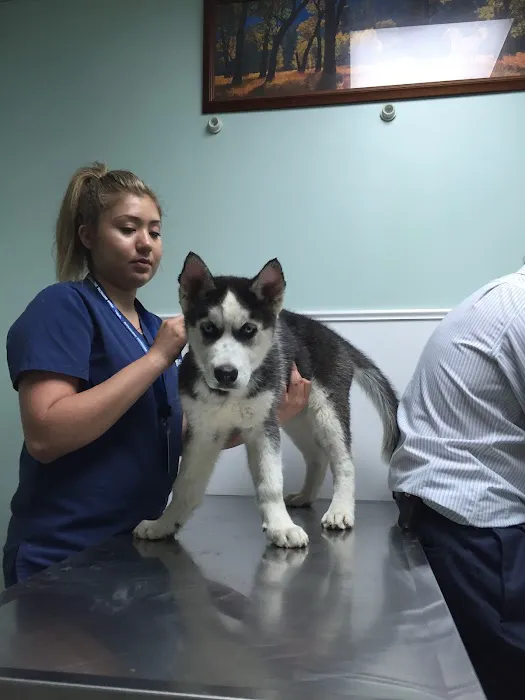 Horizon Veterinary Clinic Picture 5