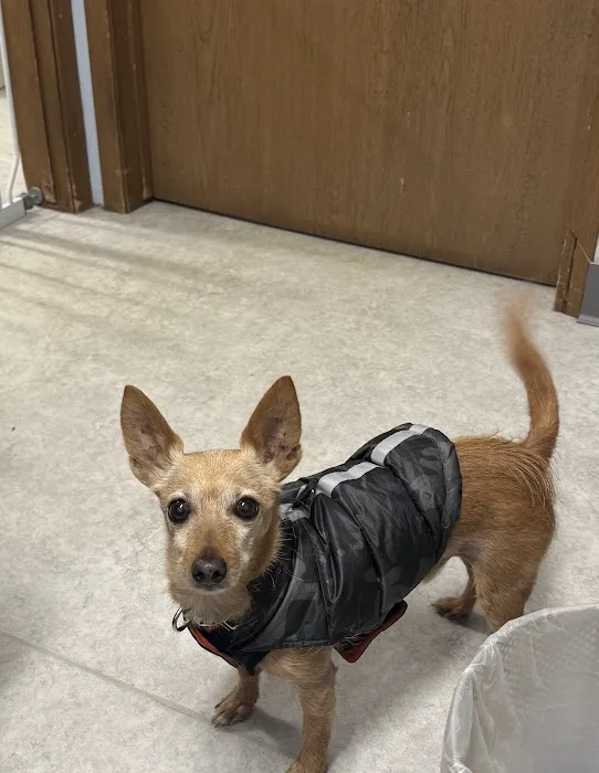 Horizon Veterinary Clinic Picture 1