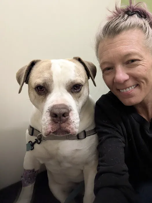 Wildflower Veterinary Hospital Picture 1