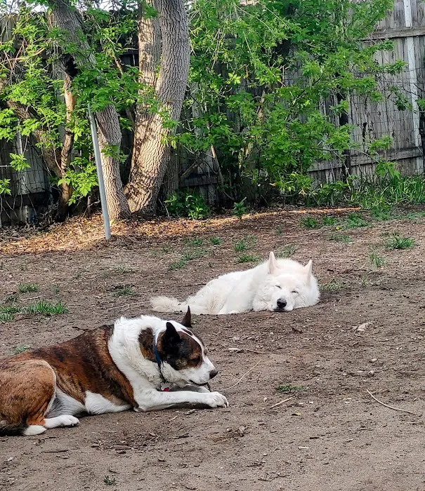 Wildflower Veterinary Hospital Picture 2