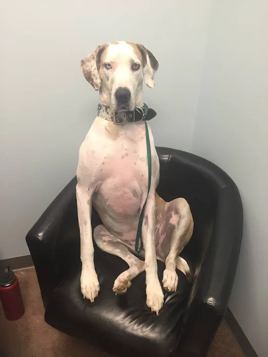 Tall Grass Animal Hospital Picture 4