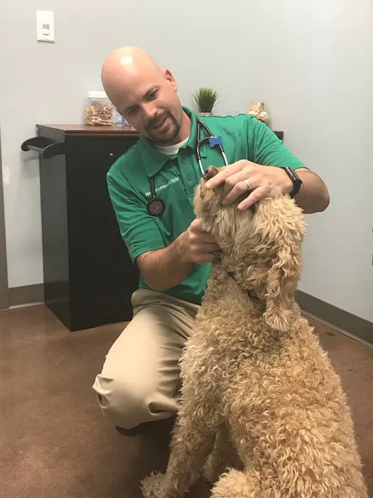 Tall Grass Animal Hospital Picture 7
