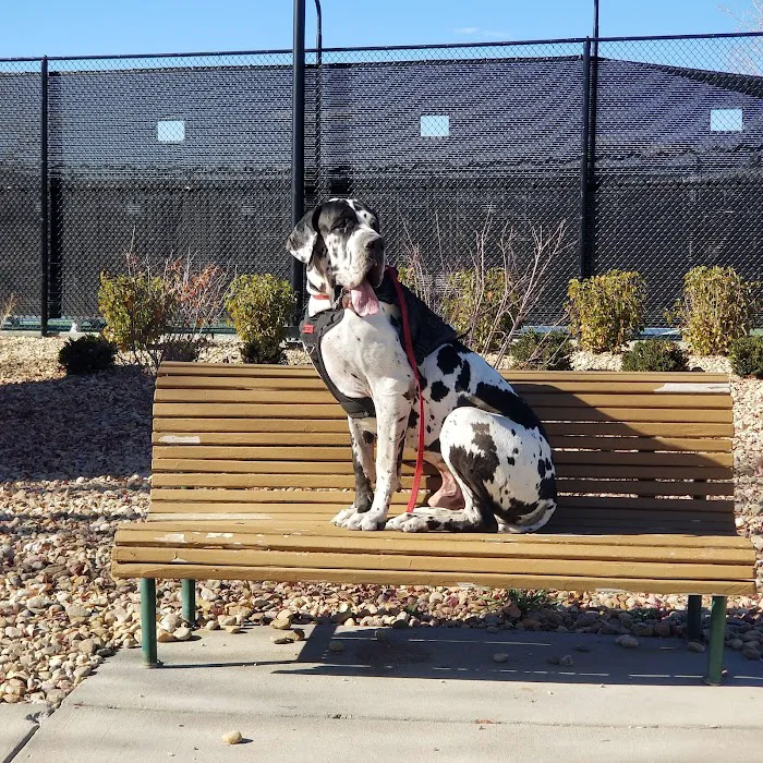 VCA Smoky Hill Animal Hospital Picture 10