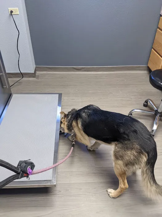 VCA Smoky Hill Animal Hospital Picture 2