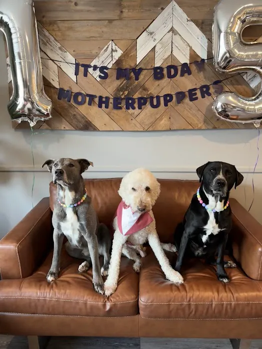 Aspen Ridge Animal Hospital Picture 9
