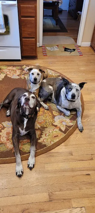 Aspen Ridge Animal Hospital Picture 8