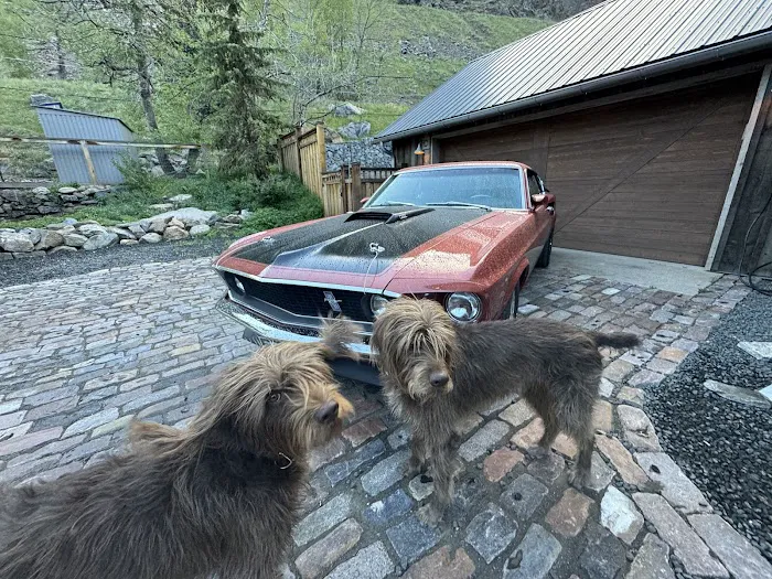 Lookout Mountain Animal Hospital Picture 1
