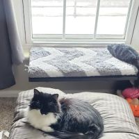 Parkside Animal Health Center ico