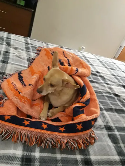 Banfield Pet Hospital Picture 3
