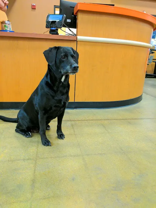 Banfield Pet Hospital Picture 6
