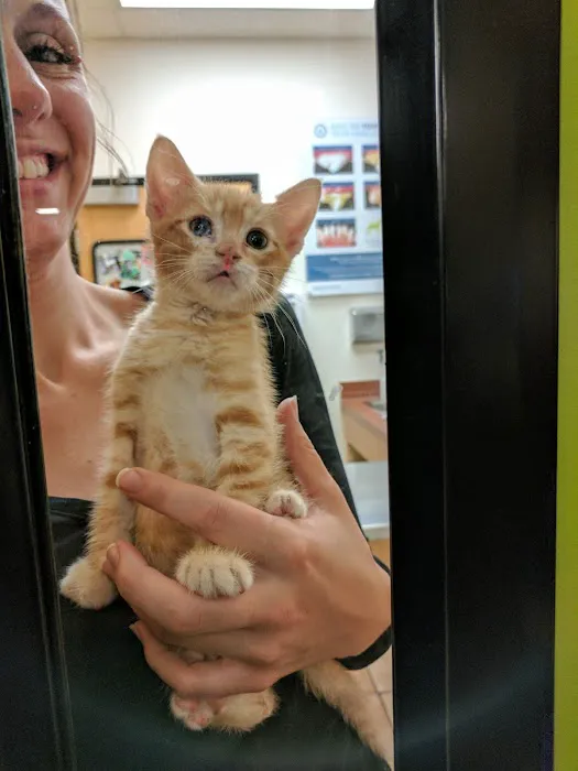 Banfield Pet Hospital Picture 8