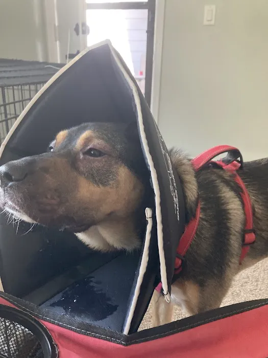 Banfield Pet Hospital Picture 1